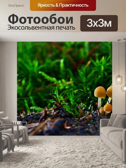 Фотообои Природа