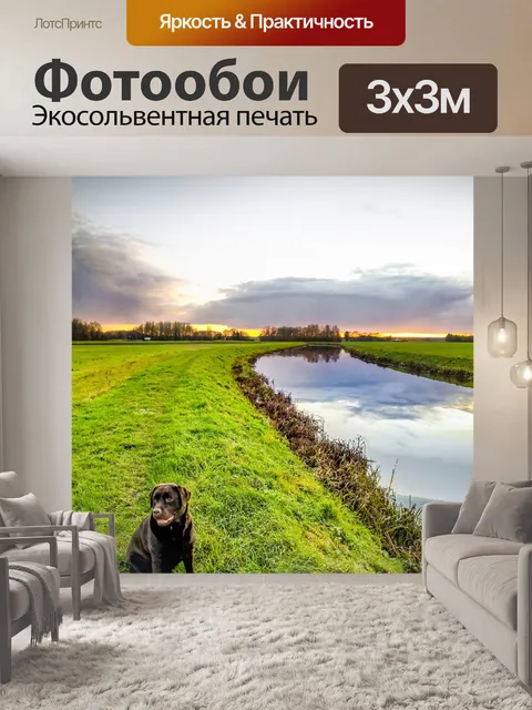 Фотообои Собака