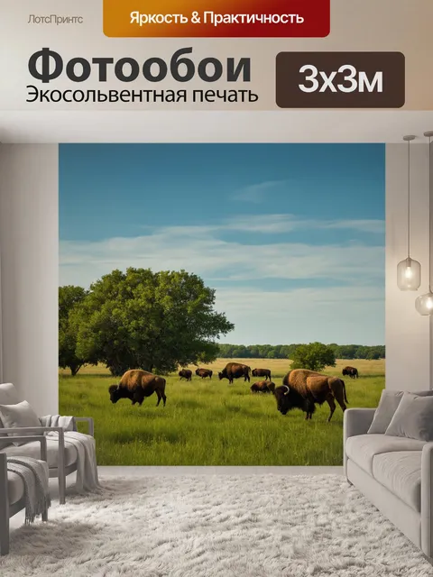 Фотообои охота: бескрайние зеленые поля с густыми редкими деревьями, среди которых мирно пасутся бизоны