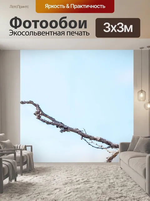 Фотообои Птица