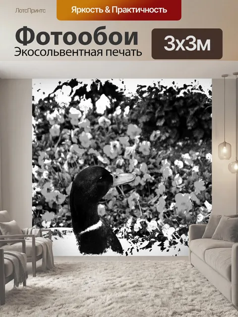 Фотообои Кряква