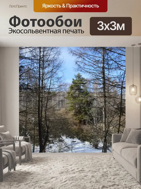 Фотообои Сосны