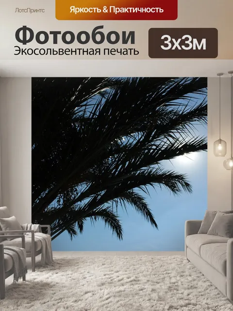 Фотообои Пальмы