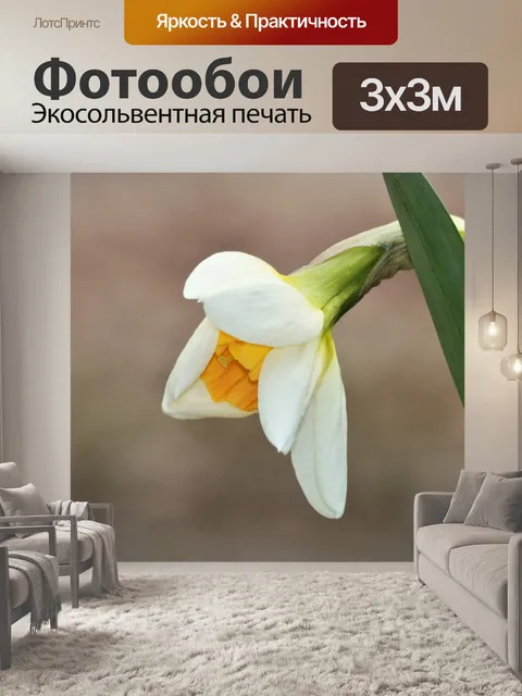Фотообои Белый нарцисс бутон