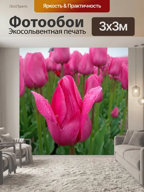 Фотообои Тюльпаны