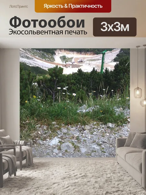Фотообои Цветы