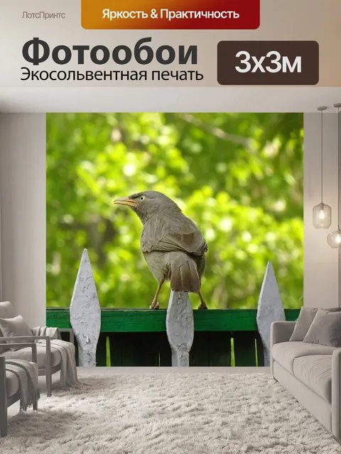 Фотообои Птица
