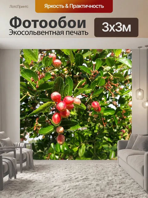 Фотообои Дерево
