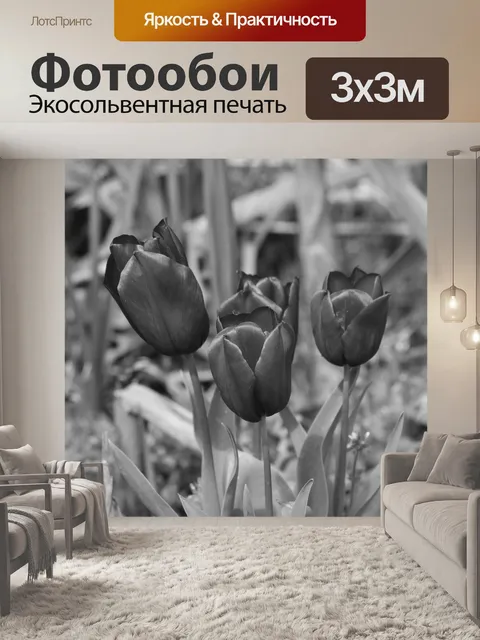 Фотообои Группа тюльпанов
