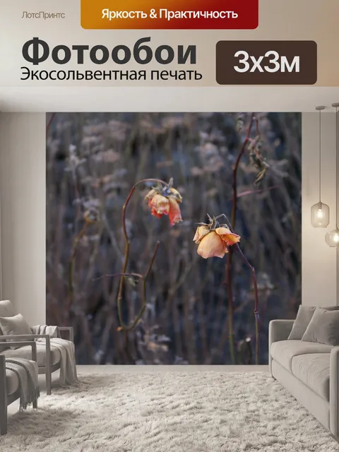 Фотообои Розы