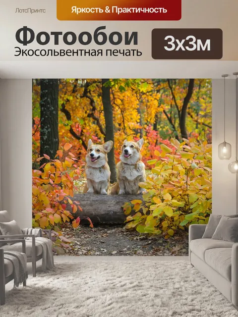 Фотообои Корги