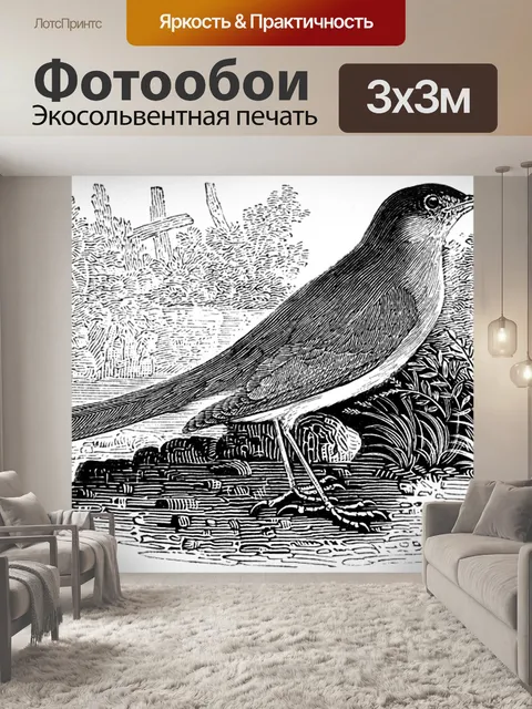 Фотообои Соловей