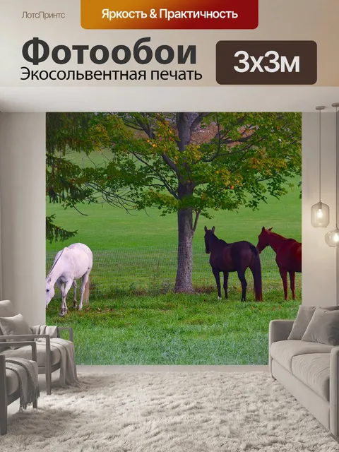Фотообои Лошади