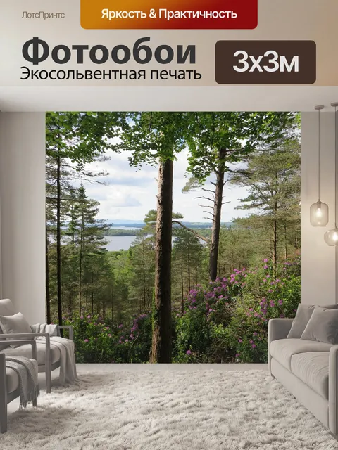 Фотообои Лес