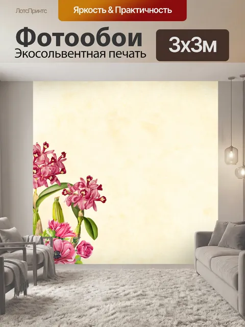 Фотообои цветок, фон, цветочные, границы,