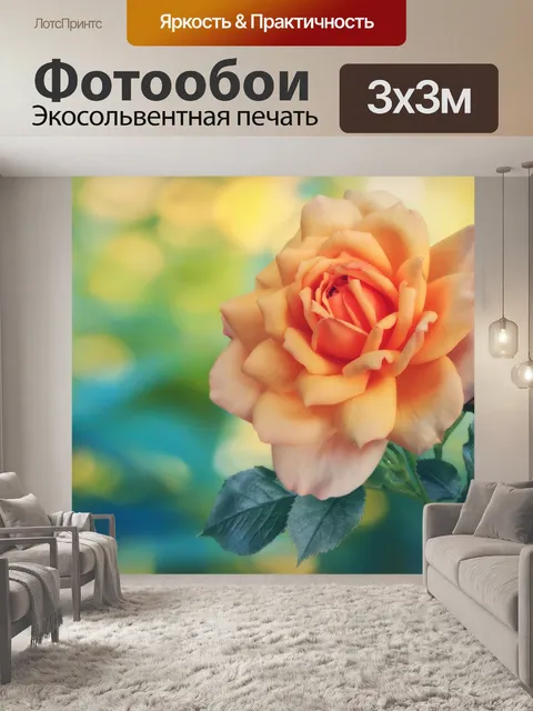 Фотообои Апельсиновый цвет розы