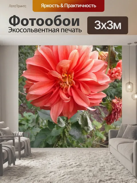 Фотообои Цветы