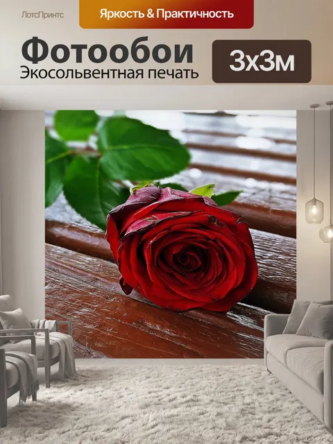 Фотообои Красная роза
