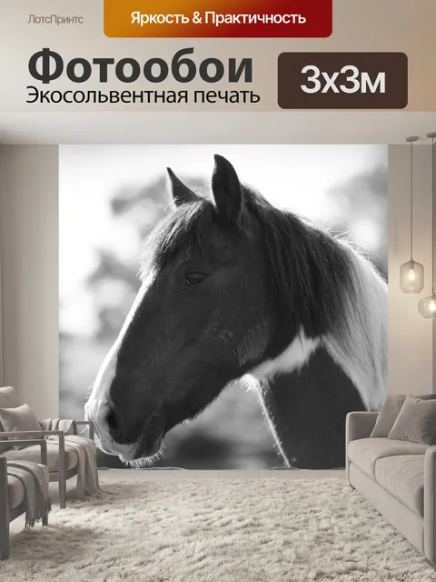 Фотообои лошадь