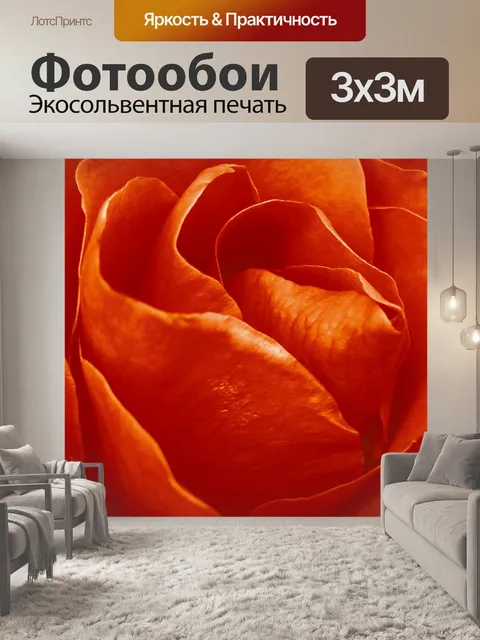 Фотообои Роза