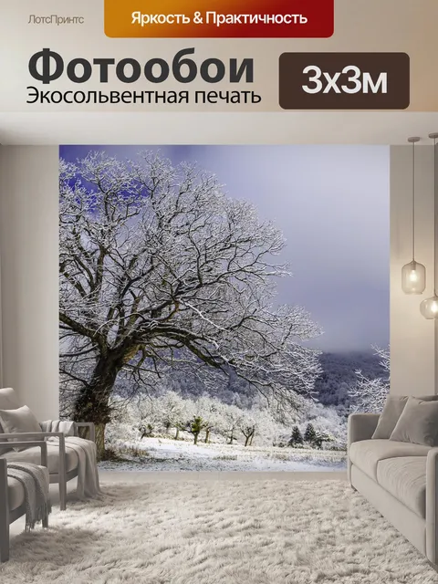 Фотообои Деревья