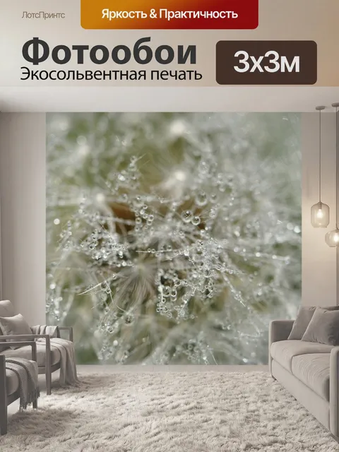 Фотообои Одуванчик