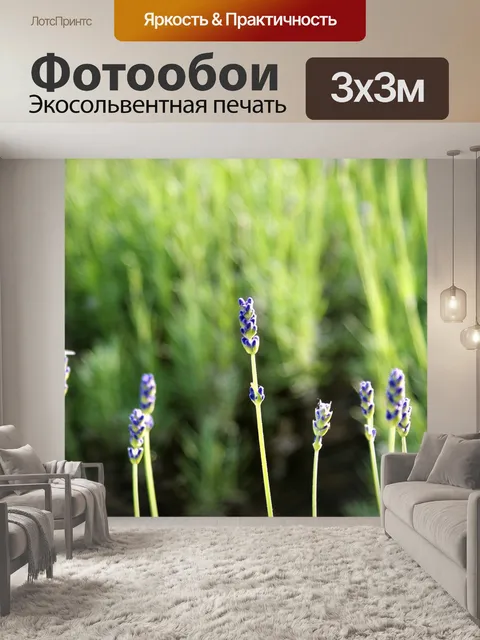 Фотообои Лаванда