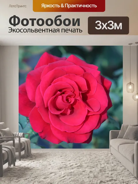 Фотообои Природа