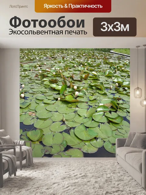 Фотообои Водяные лилии