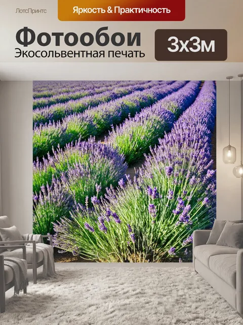 Фотообои поле с лавандой, где фиолетовые цветы создают волнующие ряды под ярким солнцем