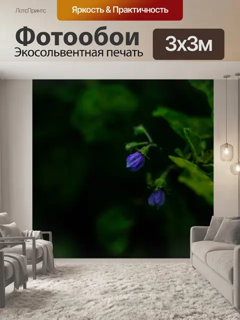 Фотообои Цветы