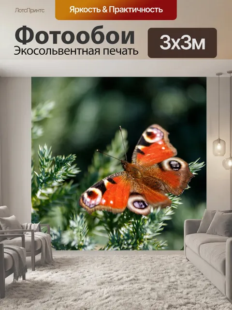 Фотообои Садовая бабочка