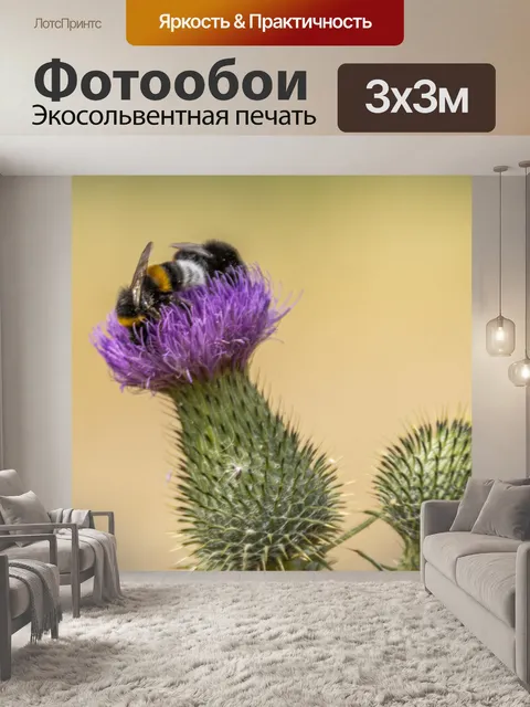 Фотообои Цветы