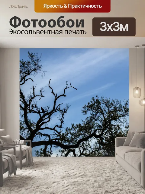 Фотообои Силуэт кошки и птицы в дереве