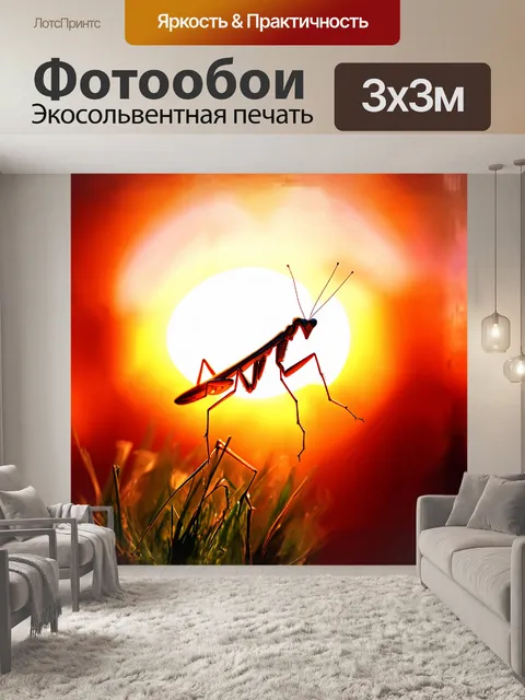 Фотообои на фоне яркого солнечного заката, богомол возвышается на тонком стебле травы