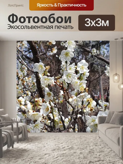 Фотообои Цветы