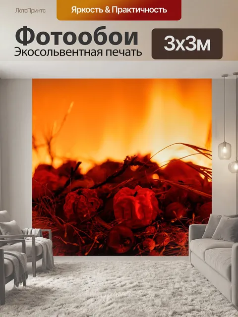 Фотообои Огонь