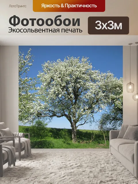Фотообои Германия