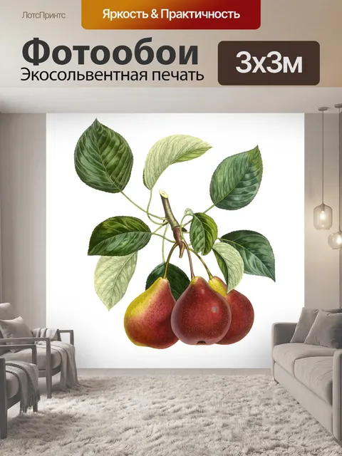 Фотообои Плоды груши винтажные