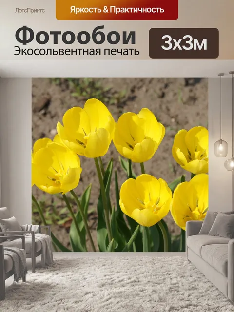 Фотообои Цветы