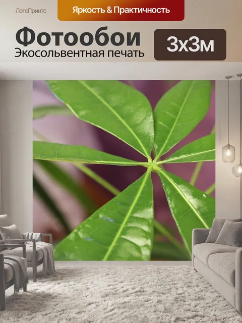 Фотообои Листья лимона