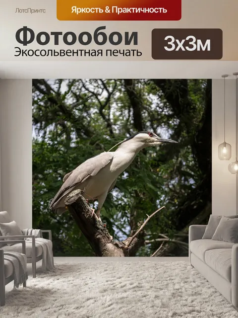 Фотообои Пр