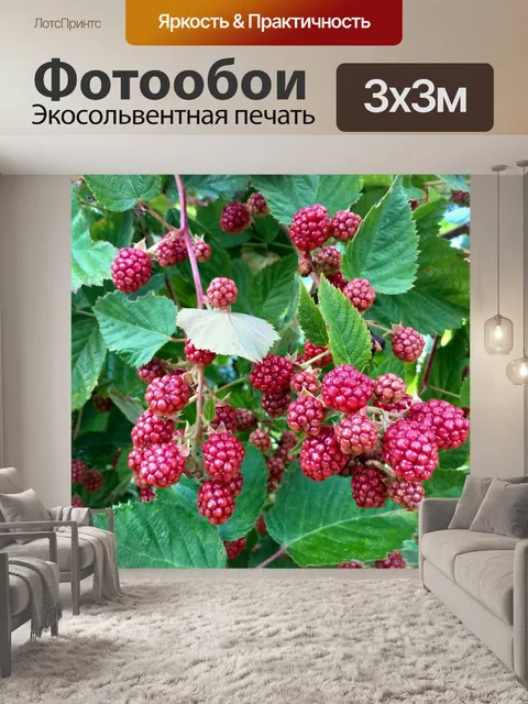 Фотообои Фруктовый сад с малиной