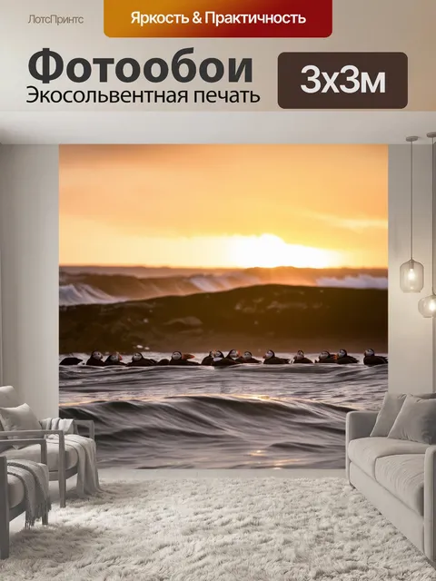 Фотообои закат над исландским побережьем, где тупики возвращаются в свои гнезда