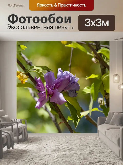 Фотообои Фиолетовые цветы