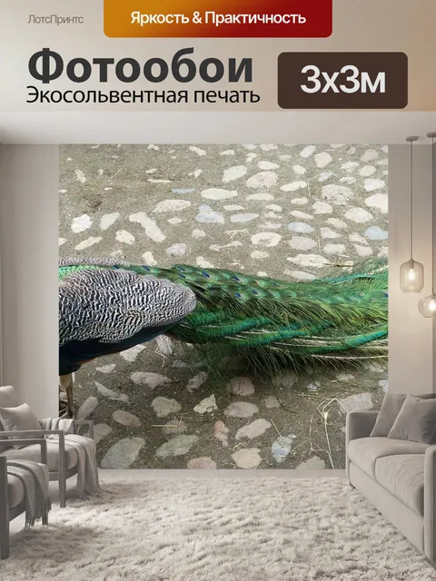 Фотообои Павлин