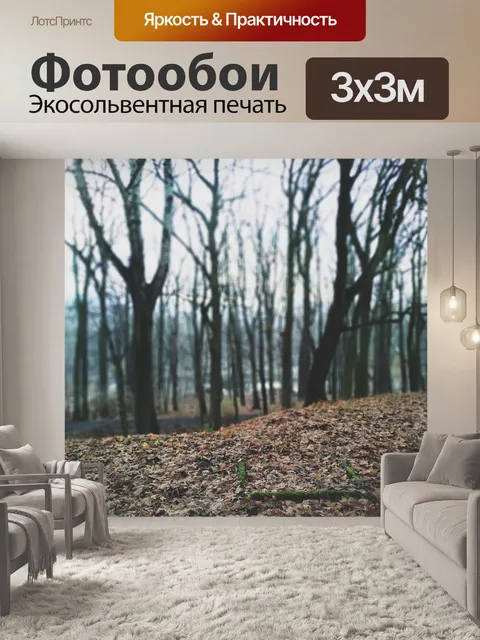 Фотообои Парк
