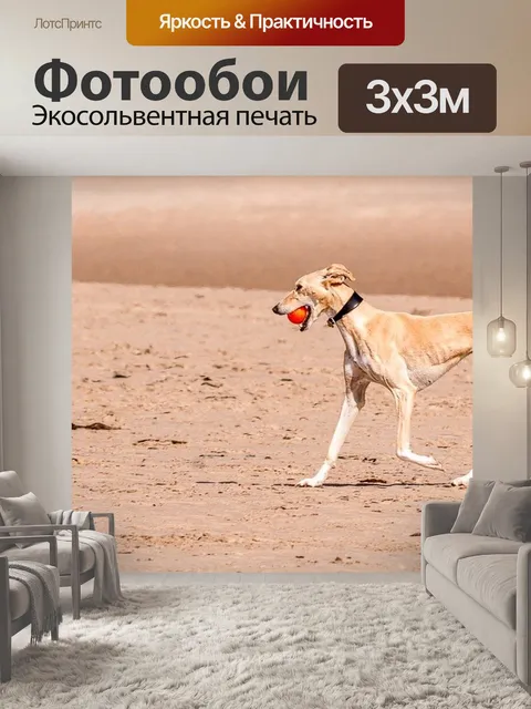 Фотообои Борзая