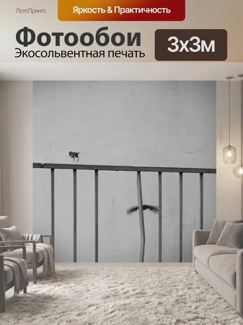 Фотообои Воробьи на балконе