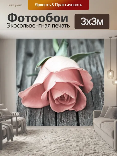 Фотообои розовый тонированные розу